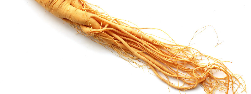 ginseng ginseng